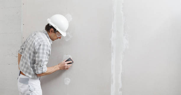 Best Mold Odor Removal Services  in USA